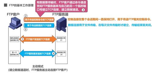 計算機網絡應用層 域名系統DNS、文件傳送協議FTP與計算機系統服務